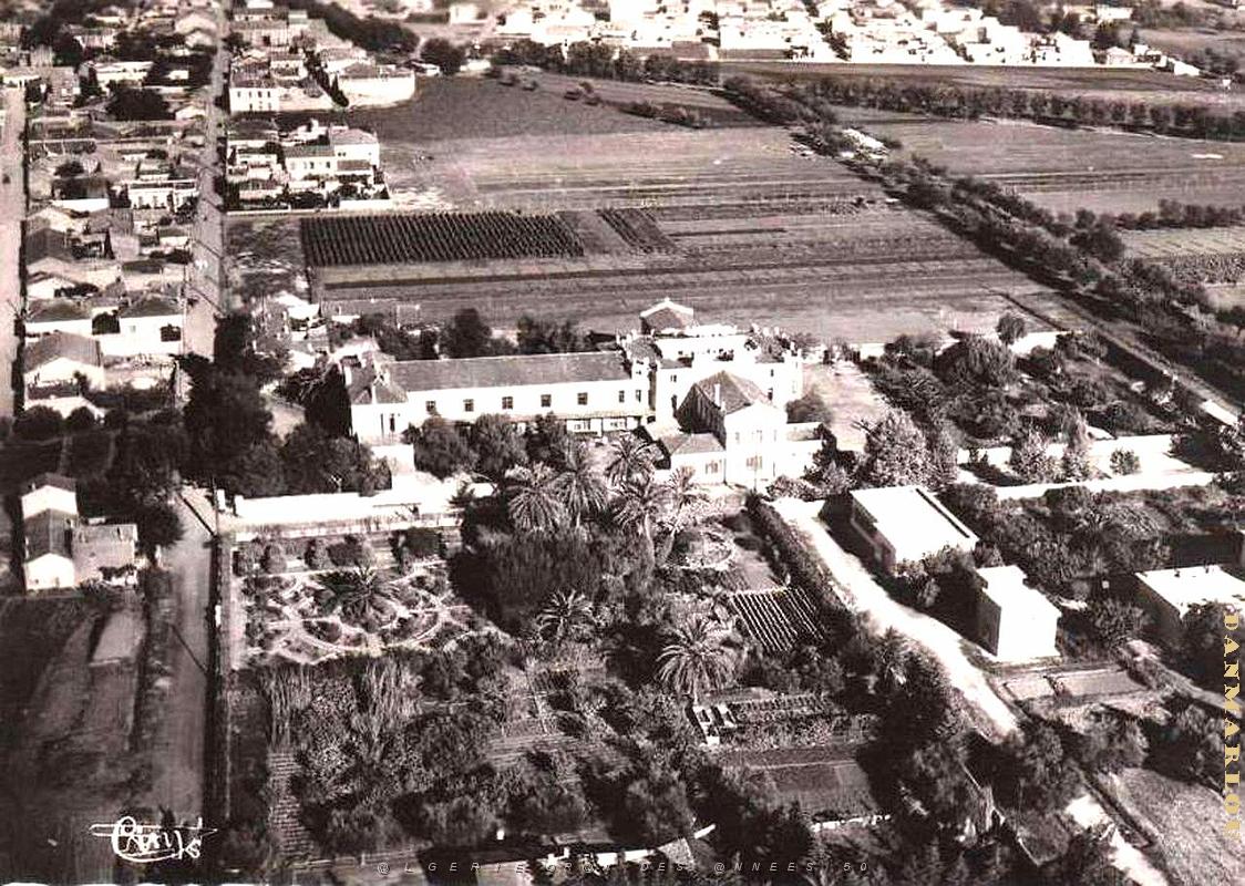 SIDI BEL ABBES ECOLE SONIS (1).jpg